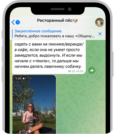 Интерфейс курса в Telegram