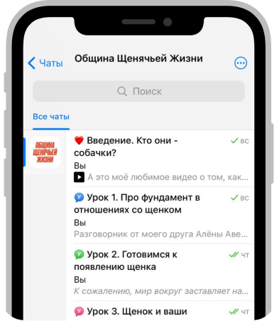 Интерфейс курса в Telegram