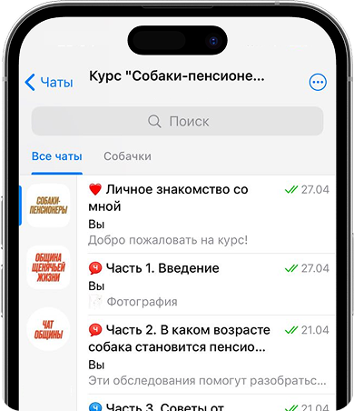 Интерфейс курса в Telegram
